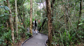 Dubuji Boardwalk