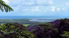 Mt Alexandra Lookout View