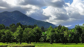 View from Daintree Ice Cream Picnic Area