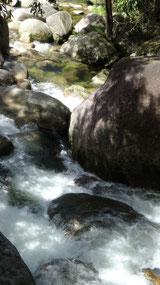 Mossman Gorge
