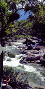 Mossman Gorge