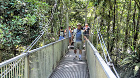 Rex Creek Suspension Bridge