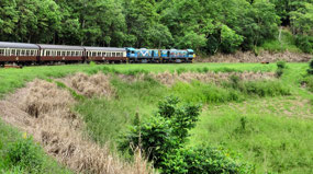 Train to Kuranda