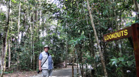 Boardwalk to Baron Falls Lookout