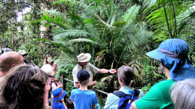 Ranger-Guided Walk