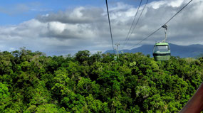 Skyrail over the Treetops