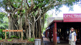 Street of Shops