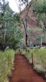 Kuila Path--Uluru