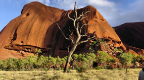 Kuila Walk--Uluru