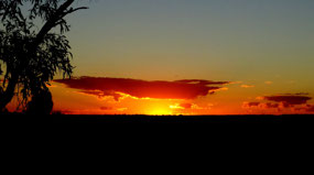 Sunset above Field of Light Display