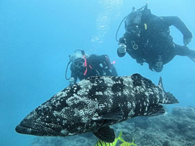 Lois-Randy with Grouper