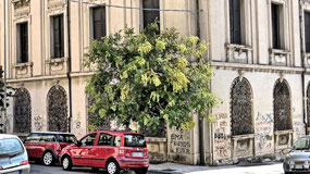 Graffitti on Messina building