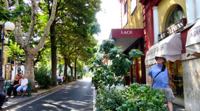 Street by Woodworking Shop