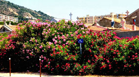 Cemetary along Coastal Drive