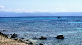  View along paths near Sanguinaires