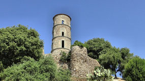 Castle Ruins dating back to 11th century