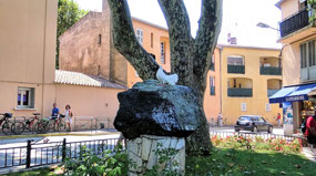 Park in Saint Tropez