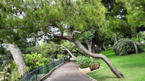 Saint Martin Gardens