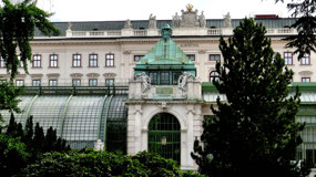 Hofburg: Palm House & Albertina