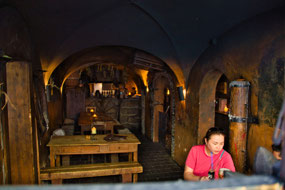U krále Brabantského-Oldest Medieval Tavern