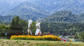 Roundabout in Bad Goisern