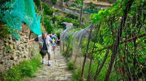 steep Cinque Terre Trail 