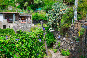 Ticket Checkpoint for Cinque Terre trail