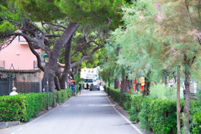 Walkway back to the south end