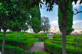 Farnesiani (Secret) Gardens 