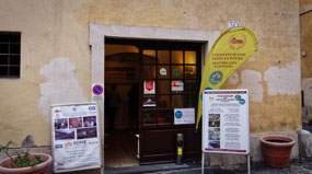 Vivicos Tours