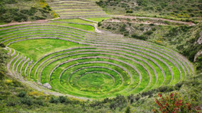 Moray Farming Terraces