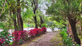 River Pathway