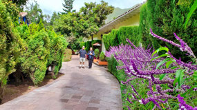 Walkway from Rooms