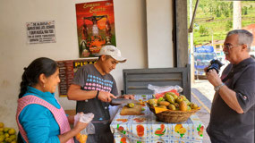 Cutting the Prickly Pears