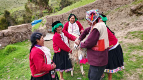 Making the Leader of the Llamas drink