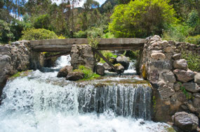 Waterfall along Mountain Drive