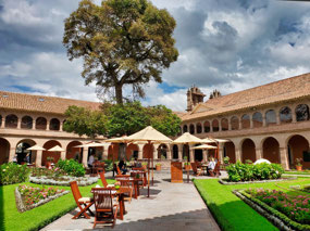 Courtyard with 300 year old tree
