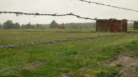 Birkenau - barbed wire