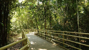 Manuel Antonio - we start the walk to the beach