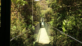 Monteverde Skywalk - on the next bridge