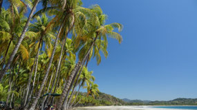 Samara - Playa Carillo