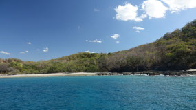 Tamarindo - Catalina Island