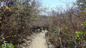 Rincon de la Vieja Vulcano