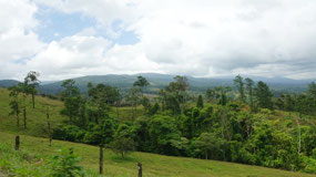 Around Costa Rica