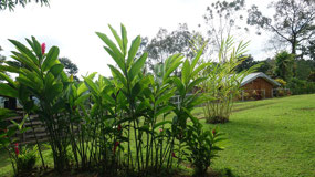 Around the farm - view on our cabin