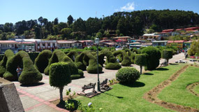Zacero - the topiary garden