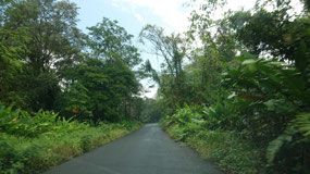 Drive to La Pavona