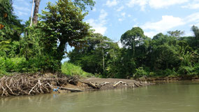 Boat ride to Tortuguero