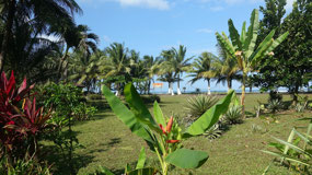 Tortuguero - view on the ocean