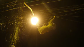 Cahuita - a sloth on the go